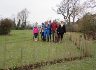 Click for a green win