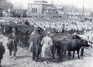 Market is not sheep shape