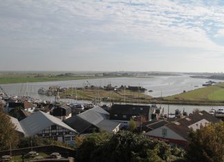 Living on the edge of the tide