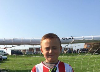 Good performances for the Bay