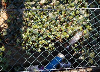 Litter pickers at the ready