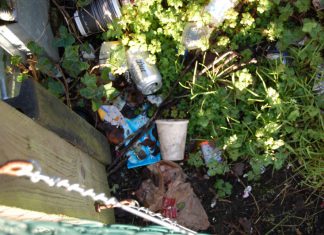 How to deal with litter