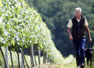 Sparkling hands rewarded