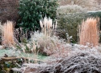 Scene setter at Great Dixter