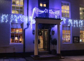 Windows spring into light