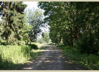 Woodland Trust seeks champions