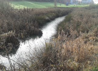 Water water everywhere