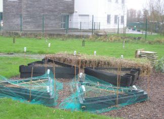 In an English country garden