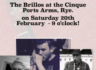 Ukuleles rock with Brillos