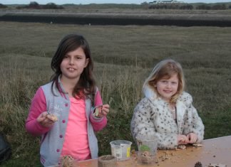 Birds fed up by nature reserve