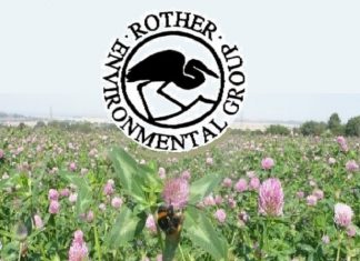 Green group considers future