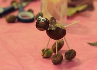 Amuse your kids at half term