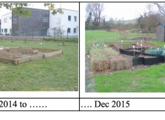 A year in the Community Garden