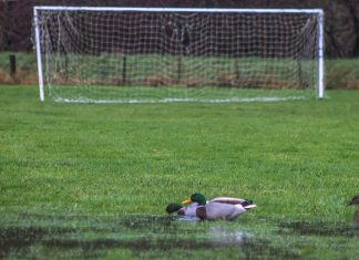 Casuals back in action?