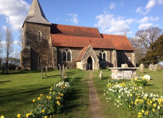 Explore Peasmarsh open gardens
