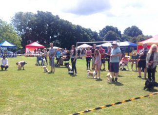 Festivals, fairs and fetes