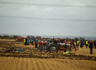 Ploughing match and fun dog show