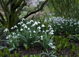 Spring is in the air