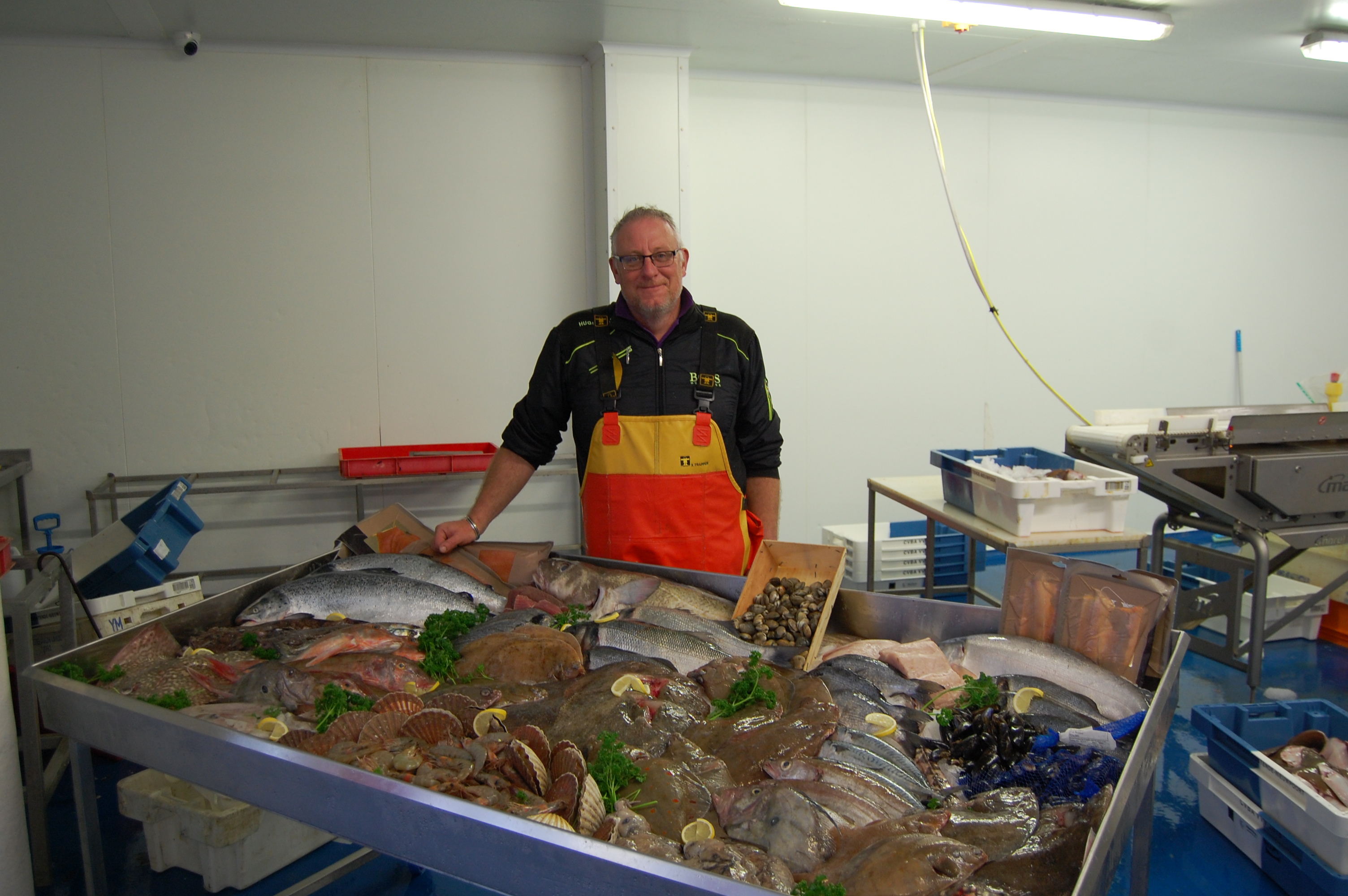 Fishing for business Rye News