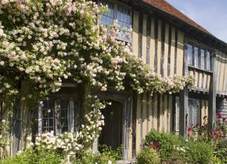 Women on stage for suffrage