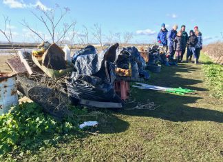 Help needed for beach clean-up