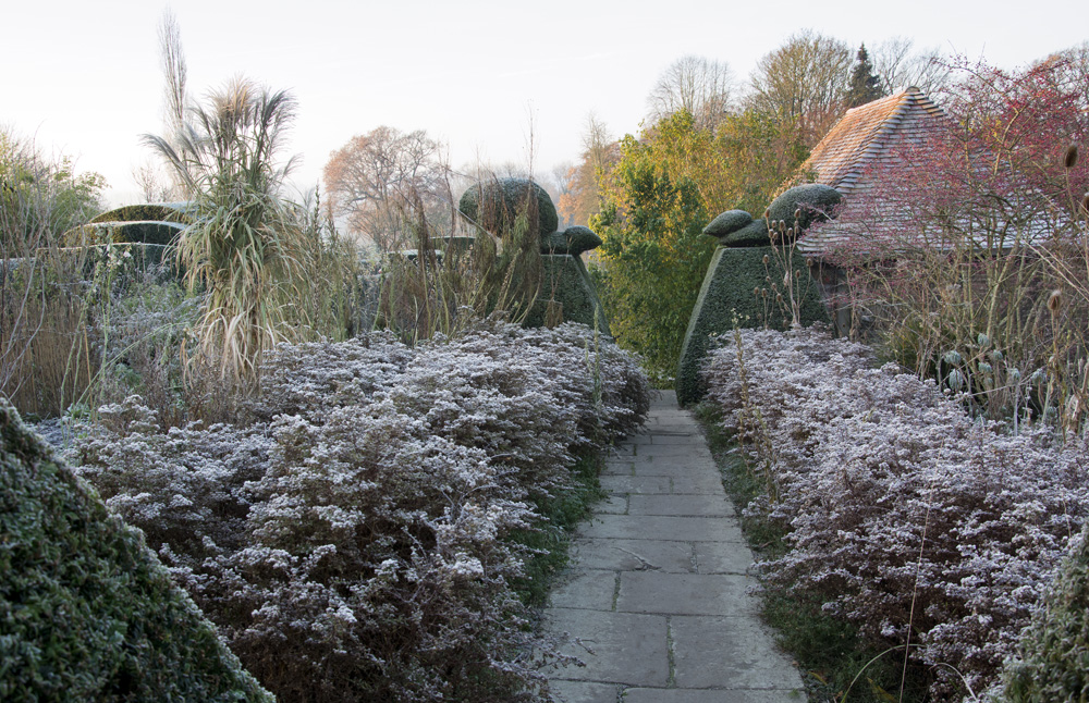 Peacock-Garden-20-575