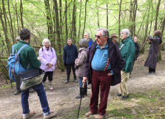 A visit to Brede High Woods