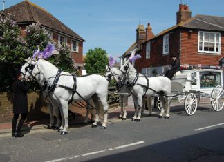 R.I.P. Dominique Worrall