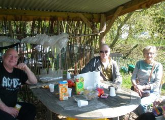 Community garden springs to life