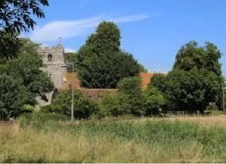 Narropera at Snargate