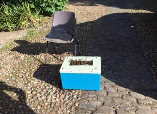 Oh beehave! Or beehive?