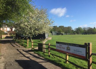 Cricket league season starts