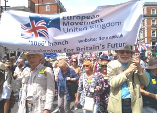 Euro march to Westminster