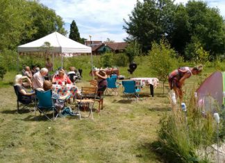 Sun, grass and no rabbits