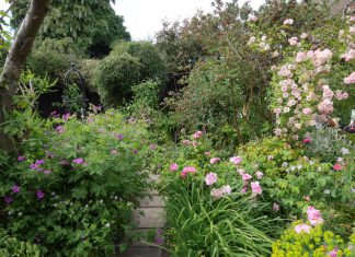 RCS annual garden party