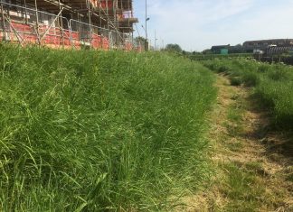 Riverside path approved