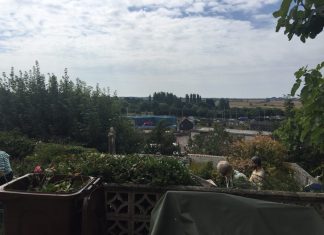 Rejuvenating St Anthony’s