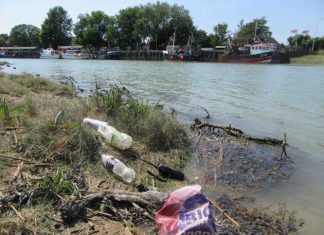 Marine ecosystems need our help