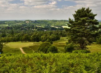 AONB seeks your support