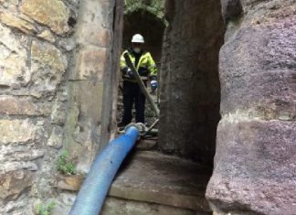 Roof wanted now, in bird shock