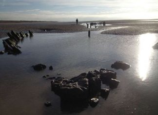 Wooden wreck on Camber Sands