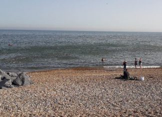Mackerels catching sprats