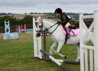 Country Show attracts thousands