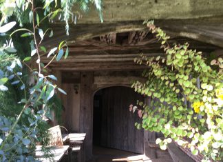 Cats, dogs and exotics