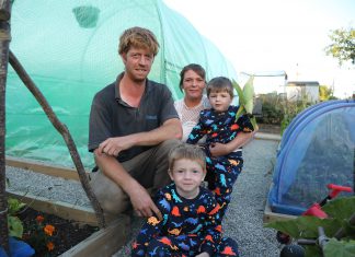 Finding solace at the allotment