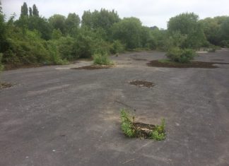 Rother discusses housing crisis