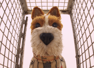 Isle of Dogs animation