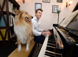 Piano star in Winchelsea