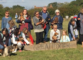 Dachshunds dash at Dixter