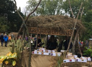 Plants show their autumn glory